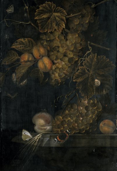 Stillleben mit Pfirsichen und Trauben, 1665 von Ottmar the Elder Elliger
